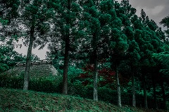 嵐の前の静けさ