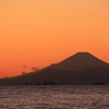 夕暮れ富士