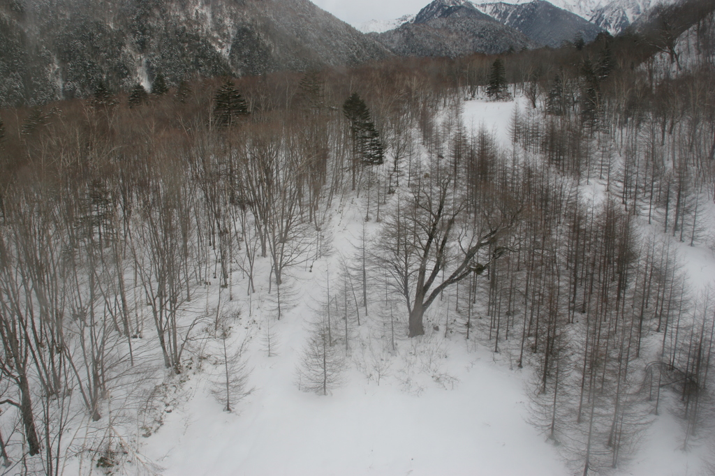 水墨画のような風景
