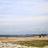 海
