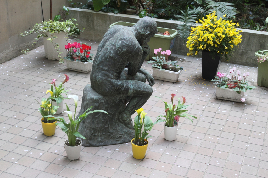 なぜ、花は散るのか　考え中