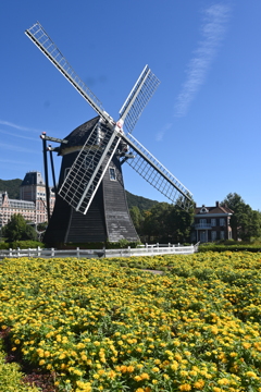 DSC_1507