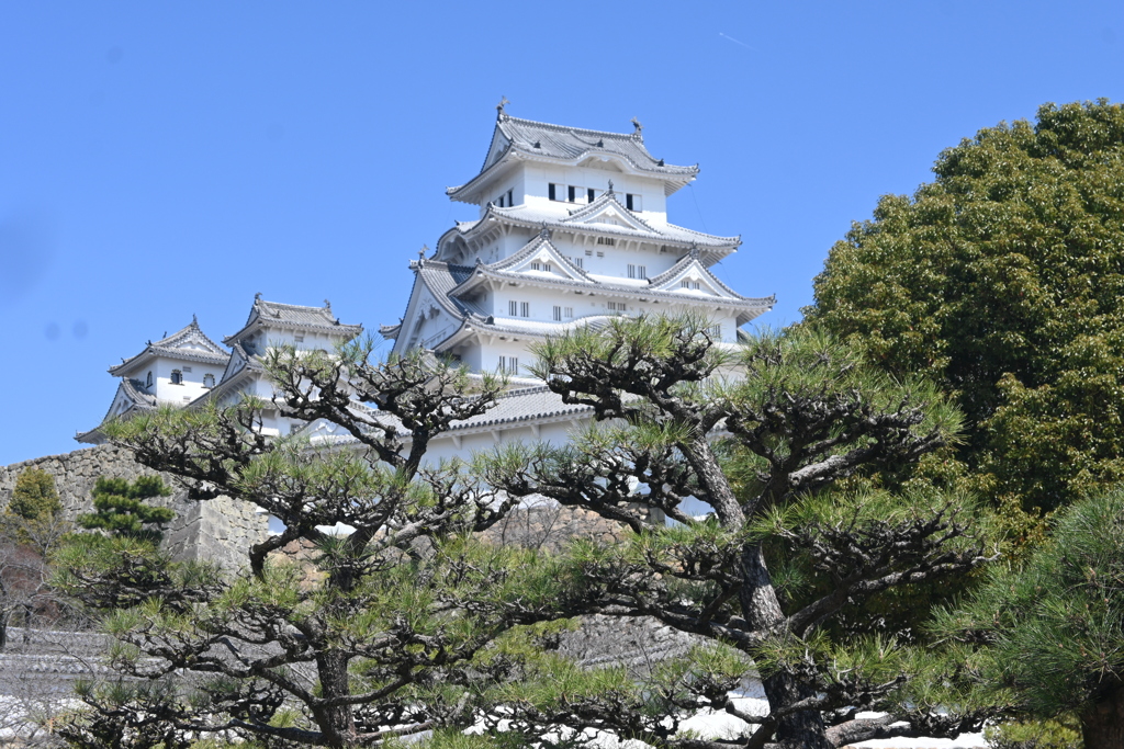 姫路城天守閣