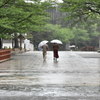 雨の城下町