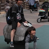子ガメの上に