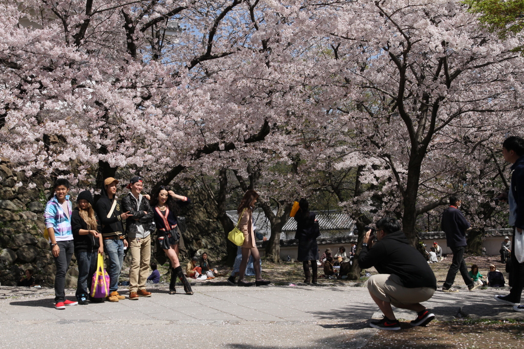 桜と記念撮影