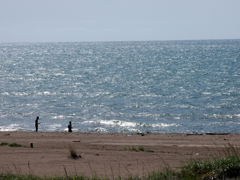 初秋 海