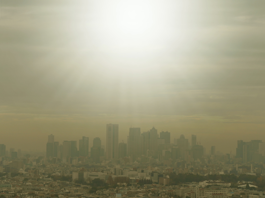 サンシャインフィルター機能＿参照画像