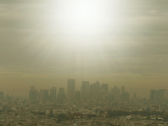 サンシャインフィルター機能＿参照画像