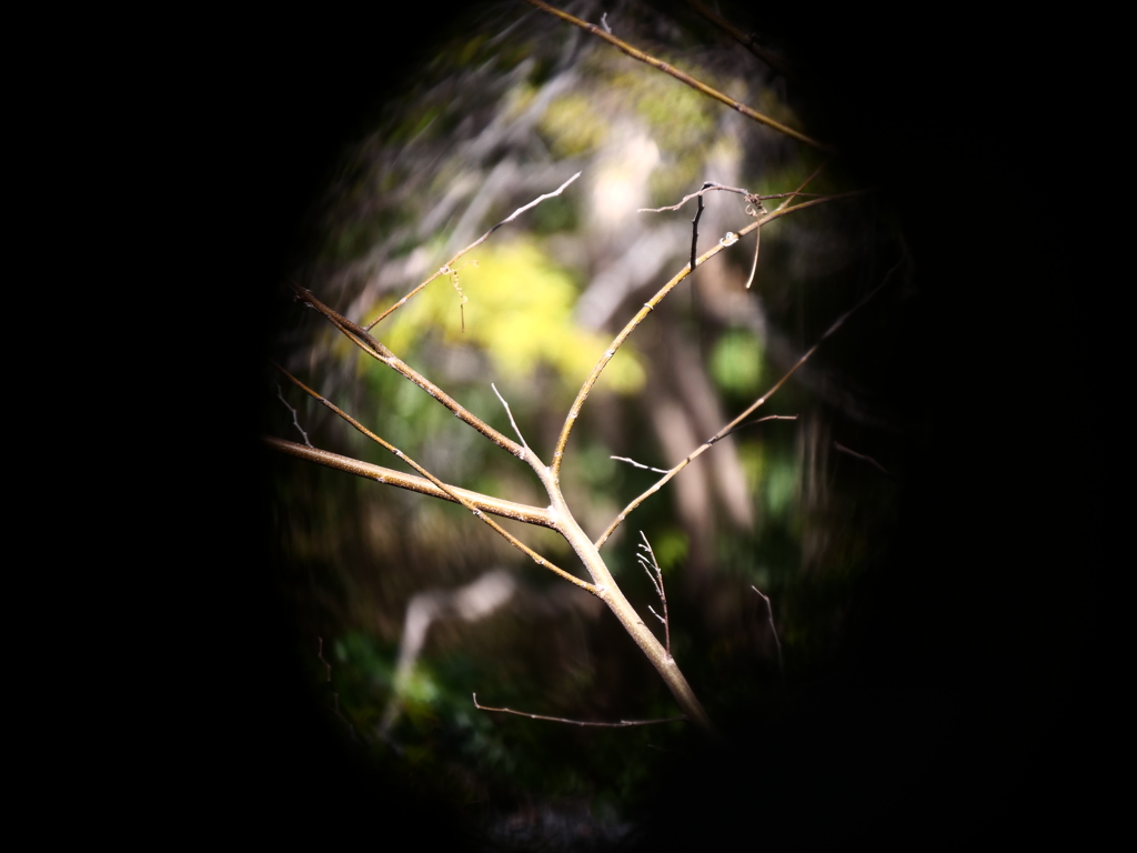 一歩遅かった＿ローキーフィルター