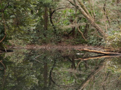 リフレクション