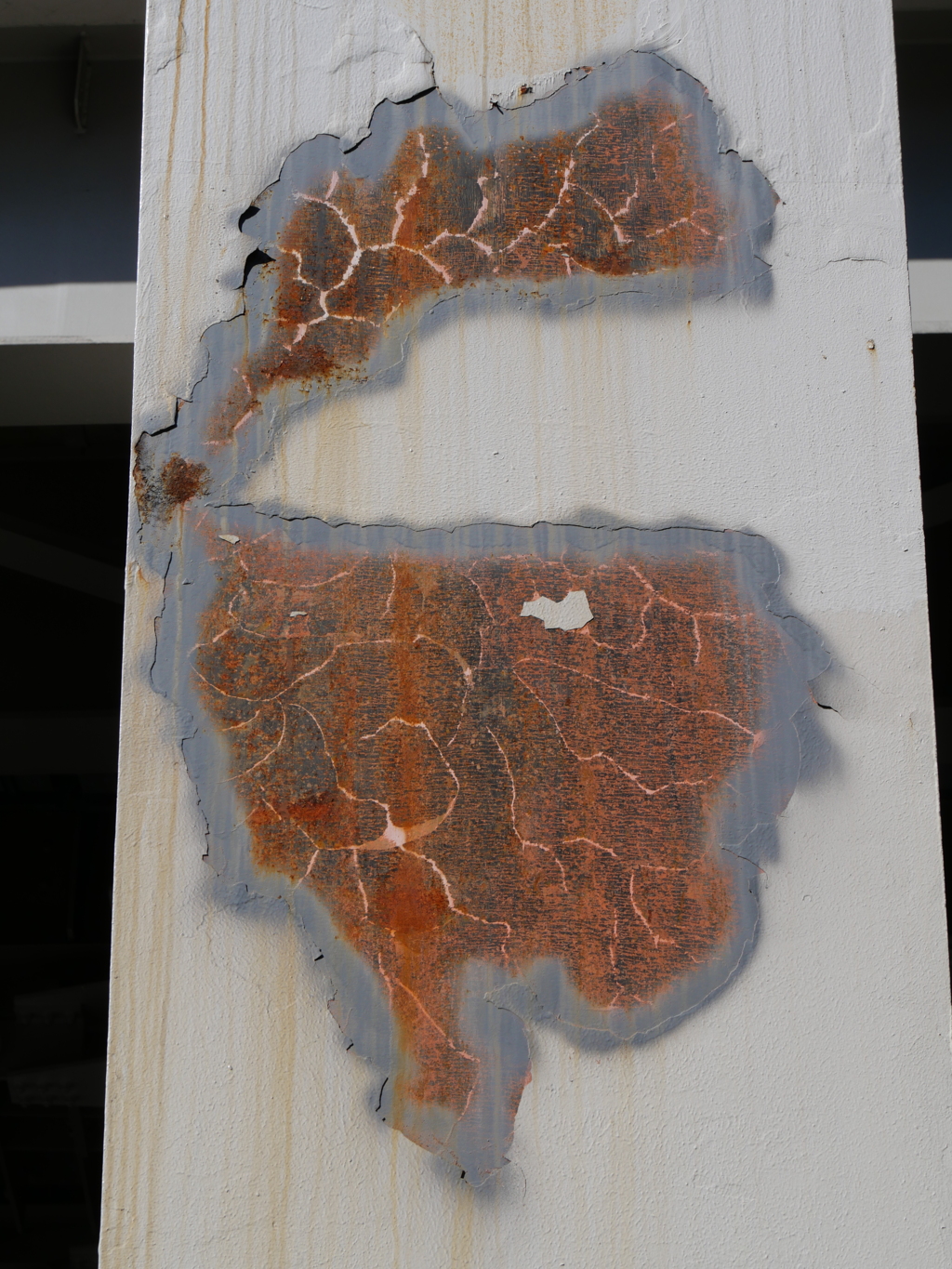 ヨーロッパとアフリカ