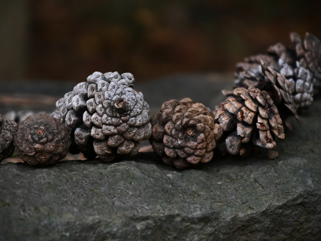 並べてありました＿ローキーフィルター