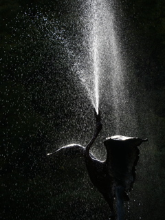 鶴の噴水＿ローキーフィルター