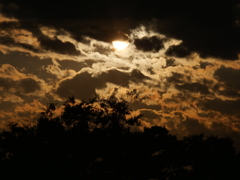 夕日＿神奈川＿野毛