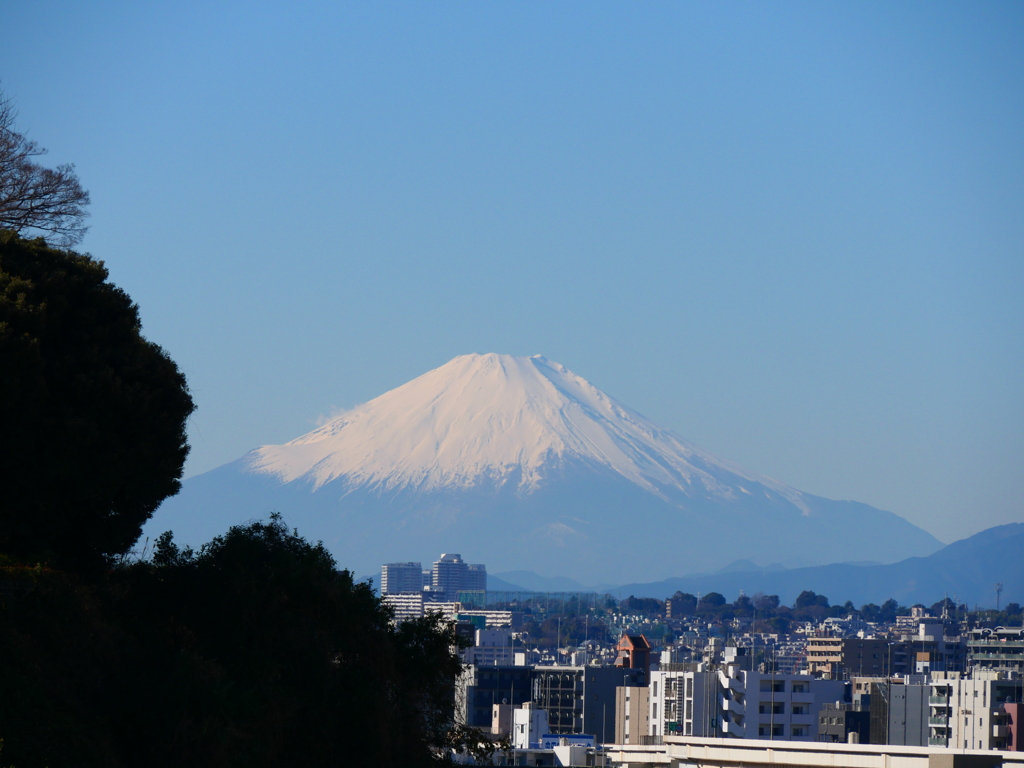 富士山＿神奈川＿横浜＿山手