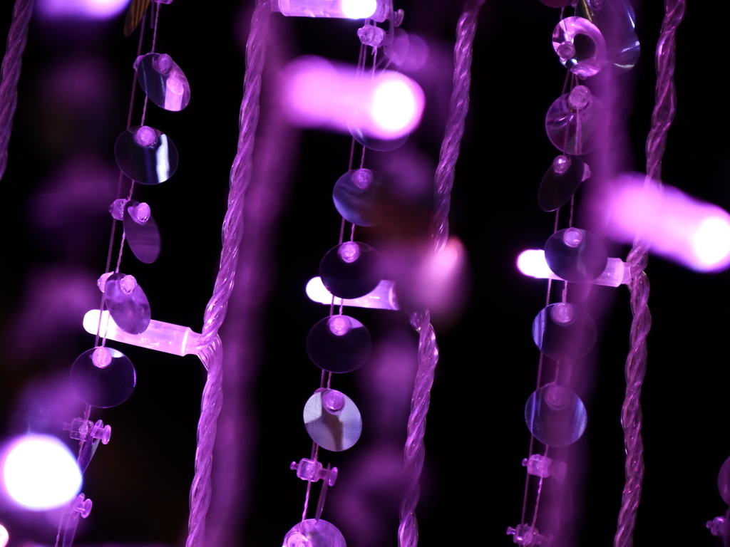 イルミネーション近くで見るか、遠くで見るか