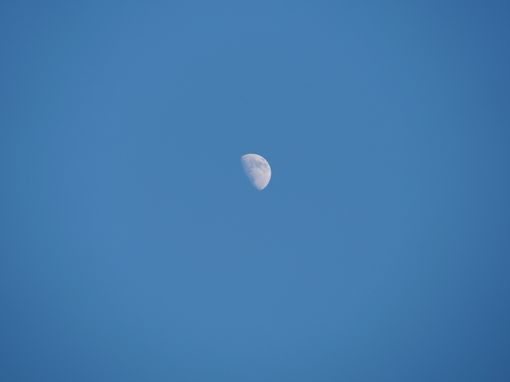 昼間の月