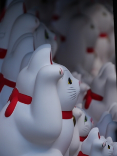 まねきねこ＿豪徳寺