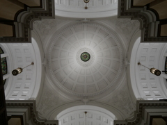 天井シリーズ＿上野国立科学博物館