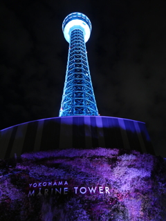 マリンタワー＿神奈川＿横浜