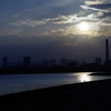 the evening sun