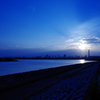 the evening sun