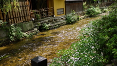 祇園白川