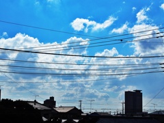 区切られた空