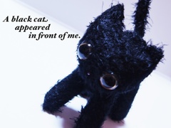 黒猫