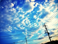 初夏