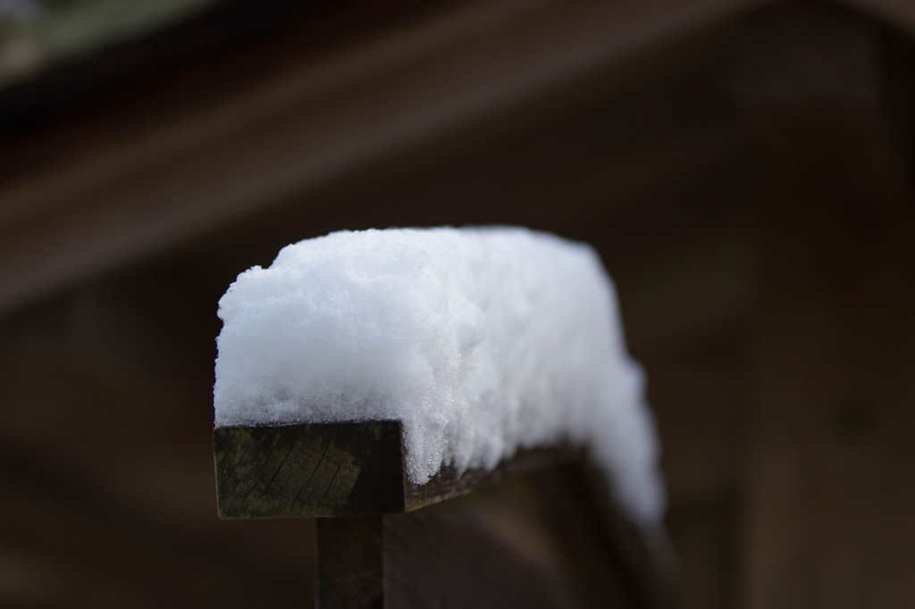 つもる雪
