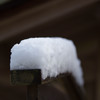 つもる雪