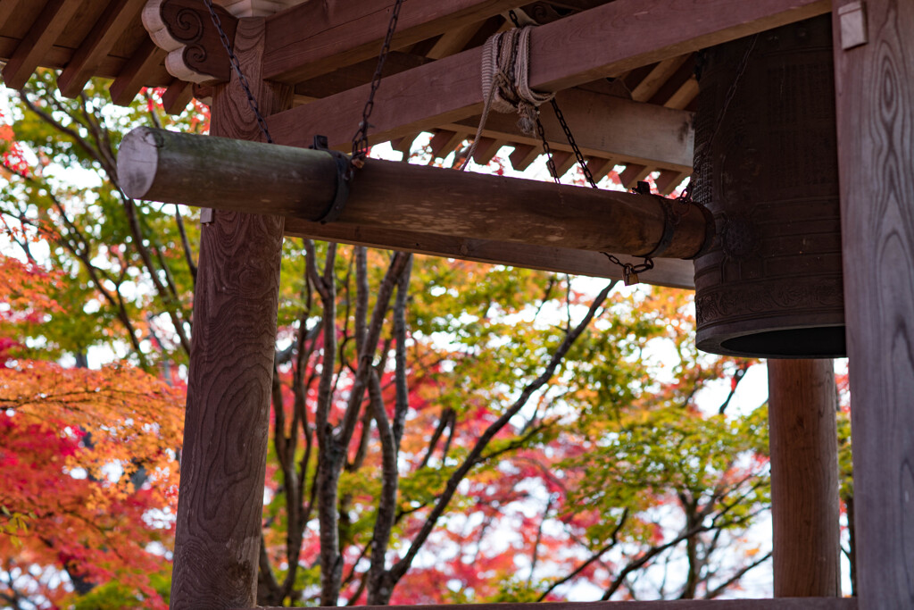 嵯峨野　常寂光寺　2019年秋