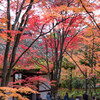 嵯峨野　常寂光寺　2019年秋