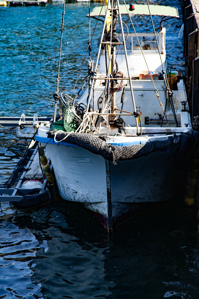 伊根湾の漁船