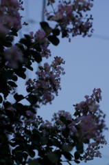 DSC03216