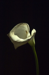 P1180221