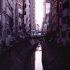shibuya