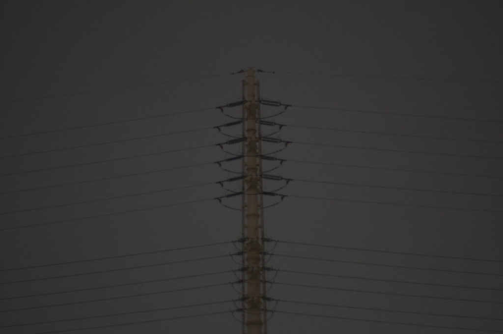 DSC03846