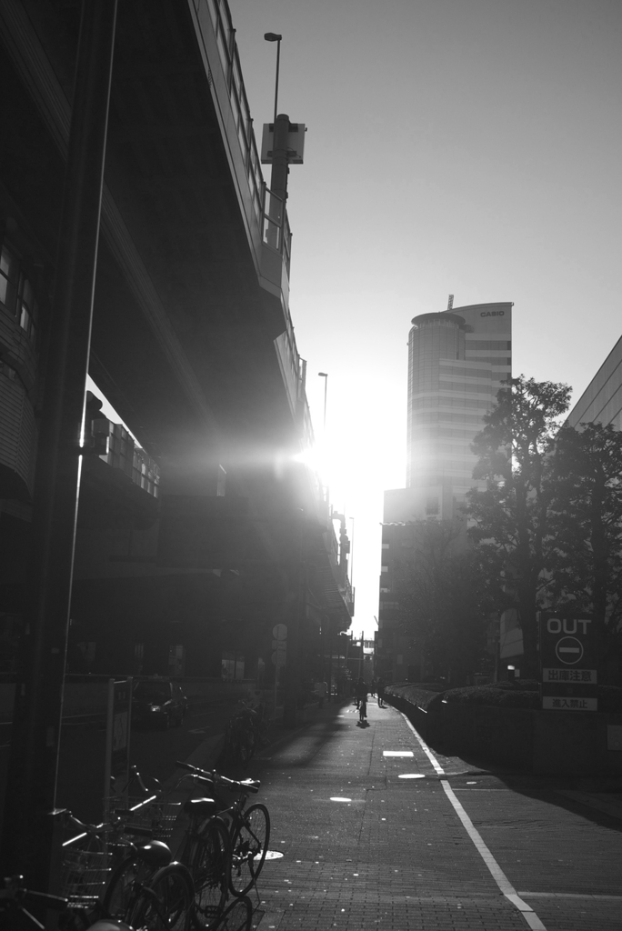 逆光