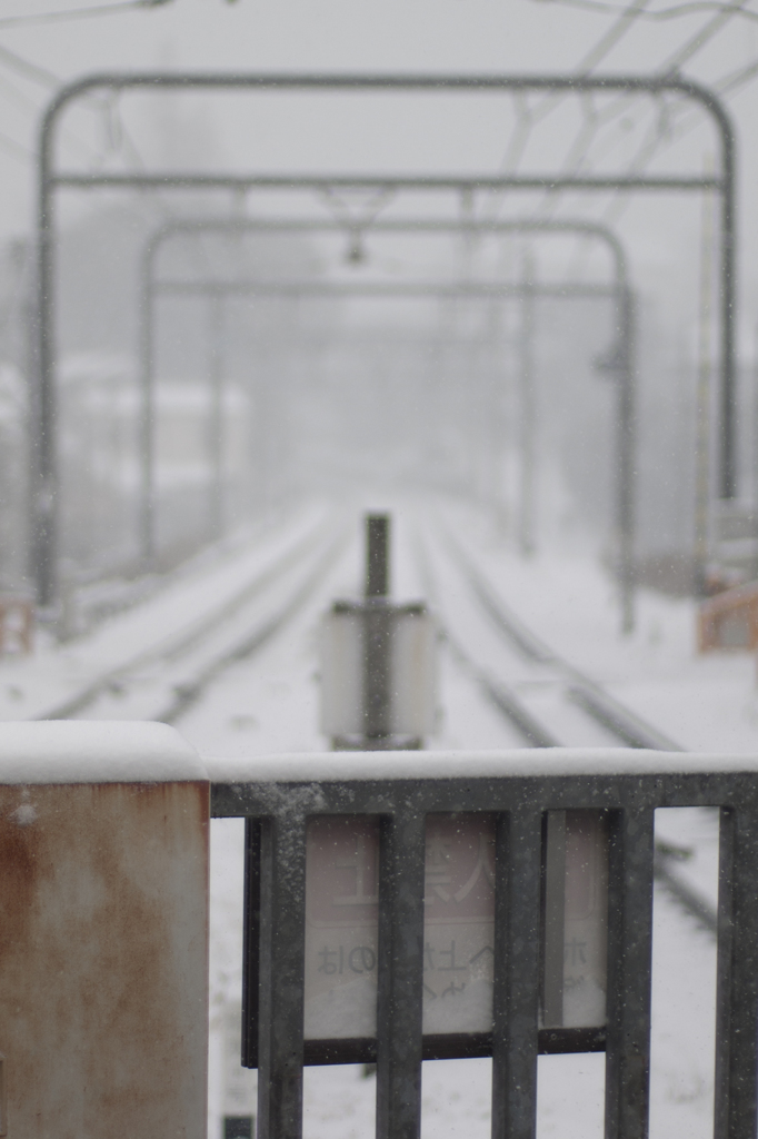 雪01