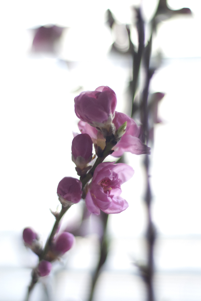 P1170791