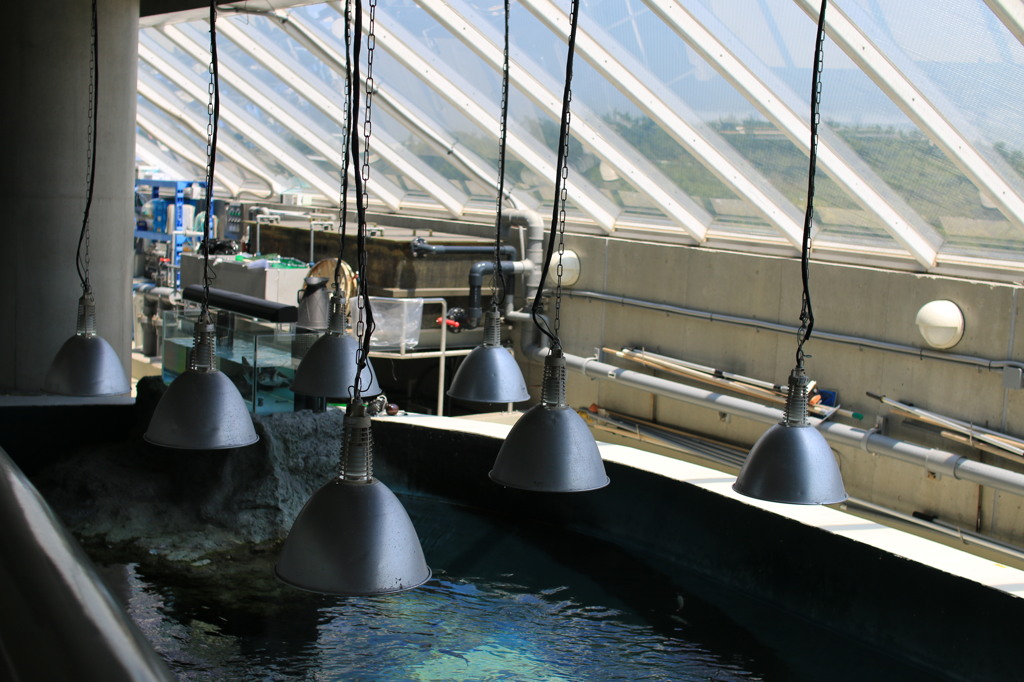 葛西臨海水族園