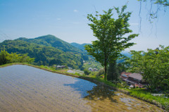 島根