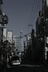 東京