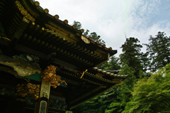 群馬