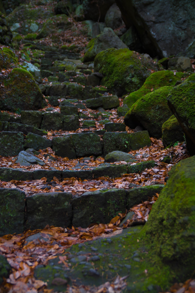 長野