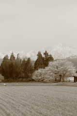 富山