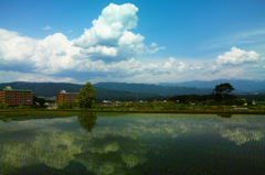 長野